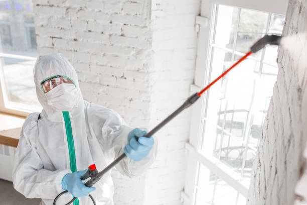 Best Emergency Mold Remediation  in Platteville, CO