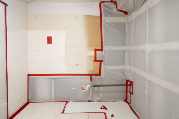 Forensic Mold Investigation in Platteville, CO
