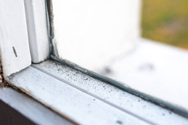 Best Asbestos and Lead Testing During Mold Inspection  in Platteville, CO