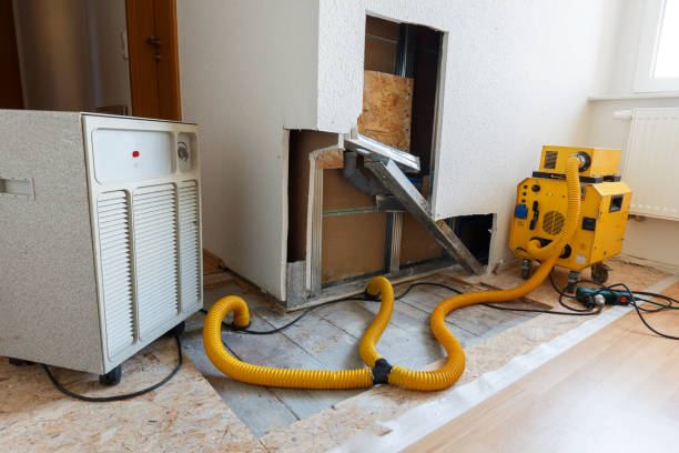 Best Mold Remediation for Healthcare Facilities  in Platteville, CO