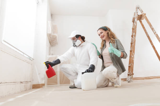 Reliable Platteville, CO Mold Removal Solutions