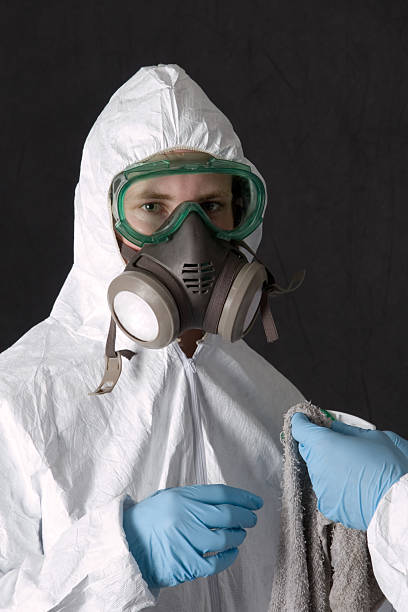 Best Mold Removal for HVAC Installations  in Platteville, CO